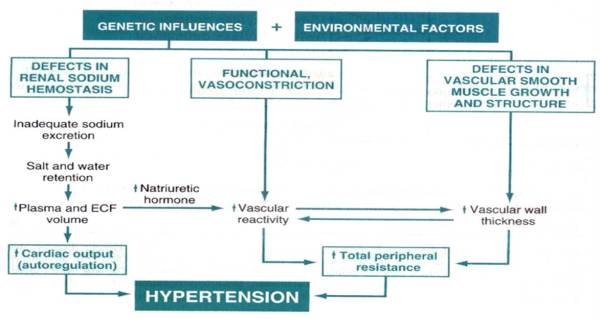 Pathogenesis of hypertension. MEAN ARTERIAL BLOOD PRESSURE